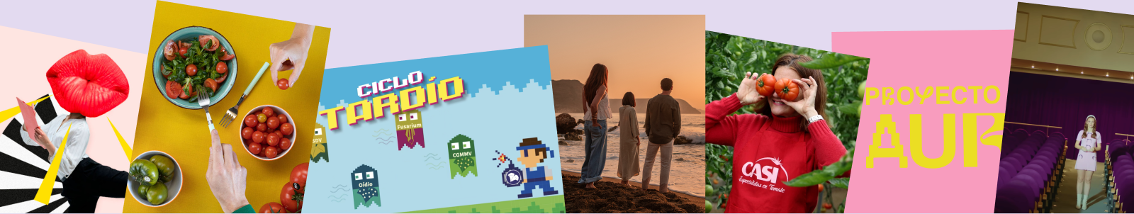 Proyectos de marketing y publicidad de Plataforma x las Marcas para marcas de alimentación, agro, cultura y empresa.